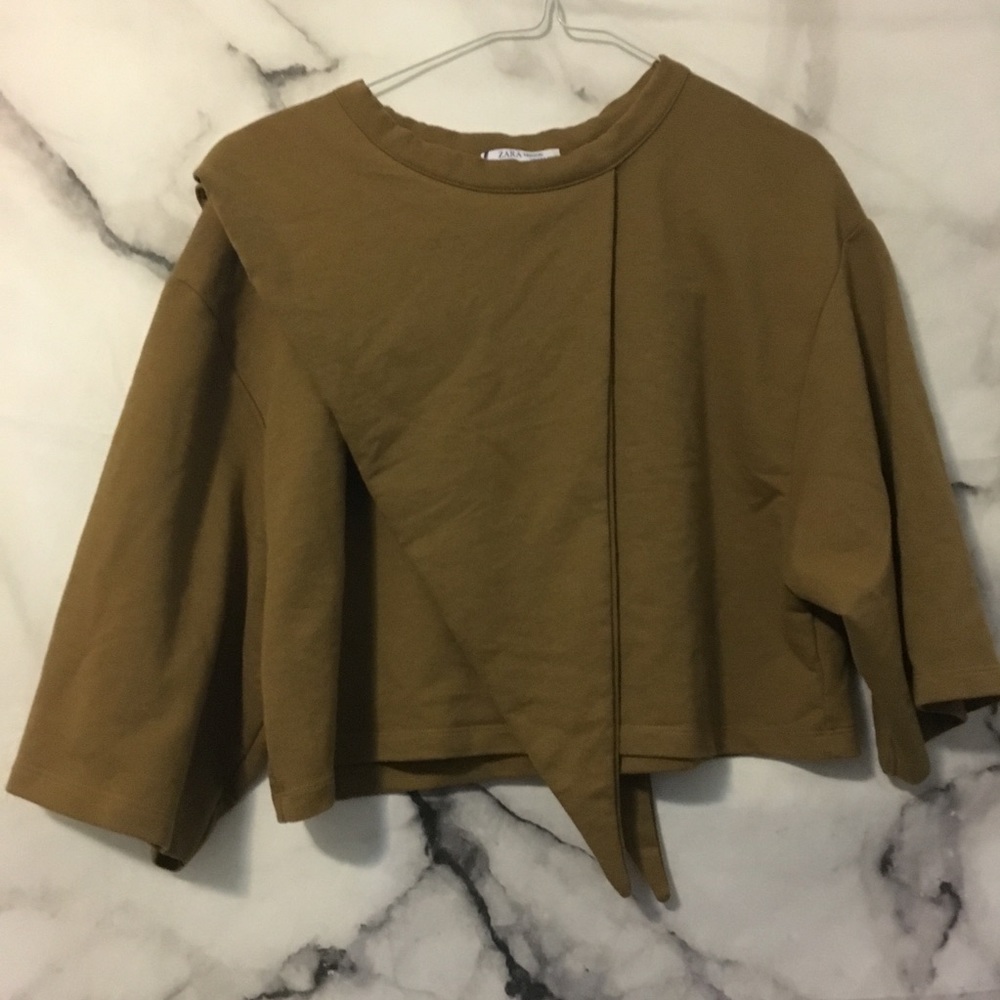 Zara Brown Top